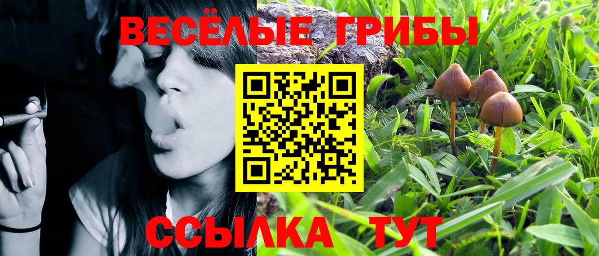 Вологда  Галлюциногенные грибы Magic Shrooms  дарнет шоп  Вход с VPN 