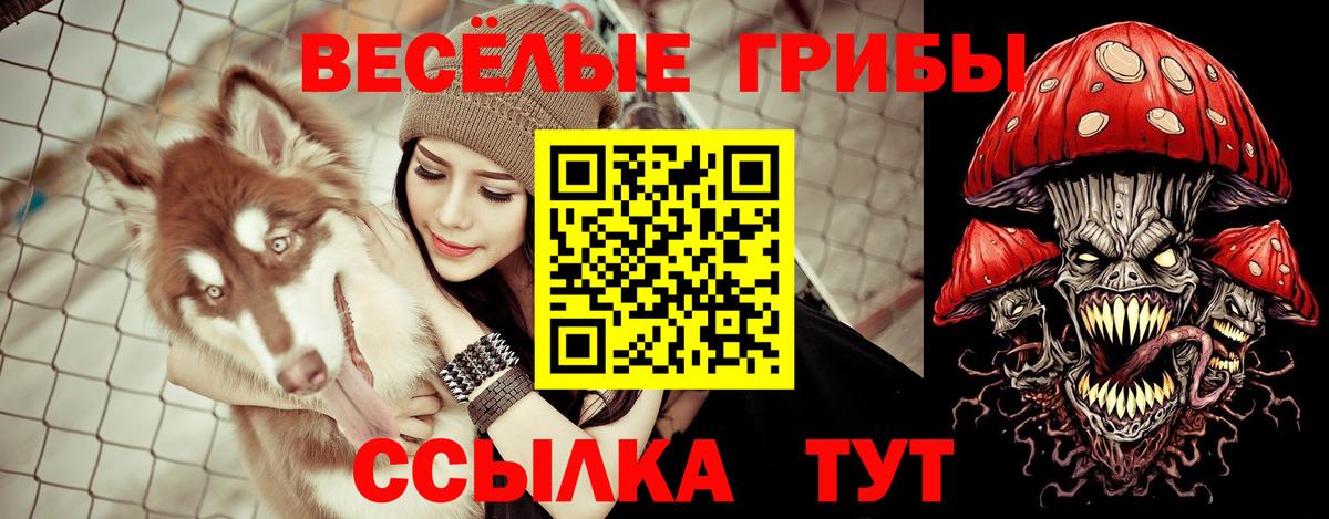 Галлюциногенные грибы ЛСД  Вологда  Галлюциногенные грибы Cubensis 