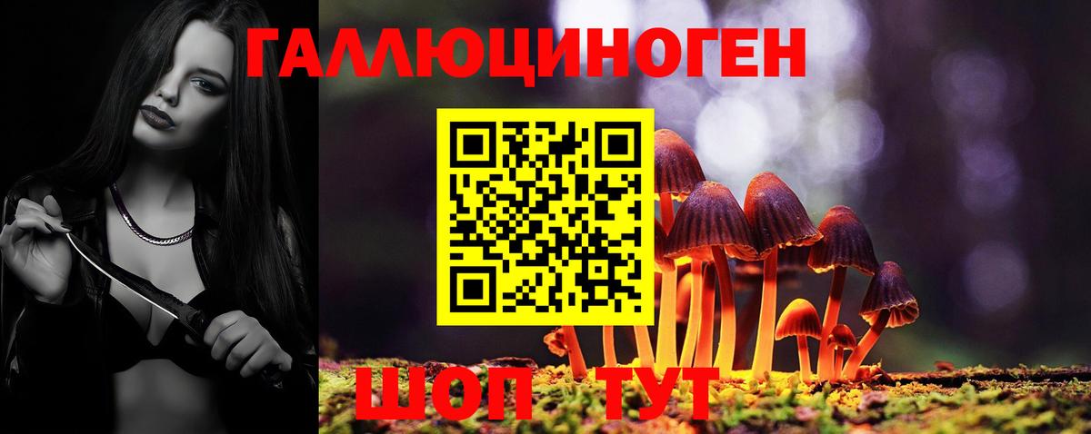 Псилоцибиновые грибы прущие грибы Вологда
